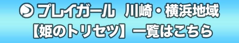 川崎・横浜地域　姫のトリセツ一覧