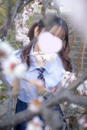 ゆあの写メ日記｜トリプルA 吉原高級店ソープ