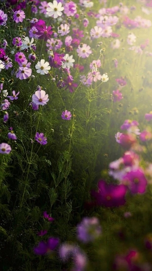 こころの写メ日記｜トリプルA 吉原高級店ソープ