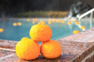 こころの写メ日記｜トリプルA 横浜高級店ソープ