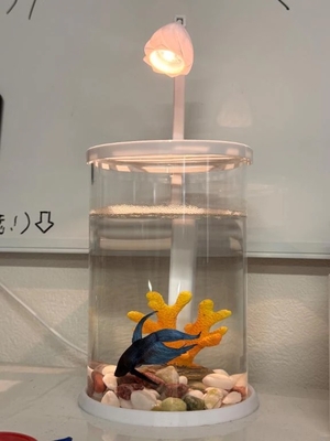 あいりの写メ日記｜トリプルA 吉原高級店ソープ