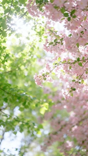 メロンの写メ日記｜トリプルA 吉原高級店ソープ