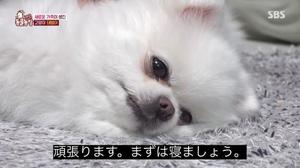 ありさの写メ日記｜アクアマリン 吉原格安店ソープ