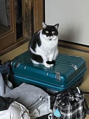 もえかの写メ日記｜アクアマリン 吉原格安店ソープ