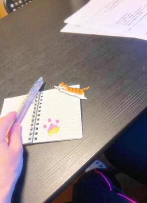 ほほの写メ日記｜ビッグマン 吉原大衆店ソープ