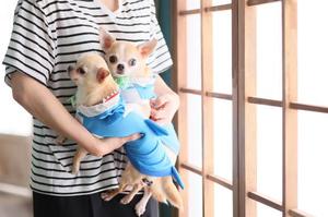 あやのの写メ日記｜ビッグマン 吉原大衆店ソープ