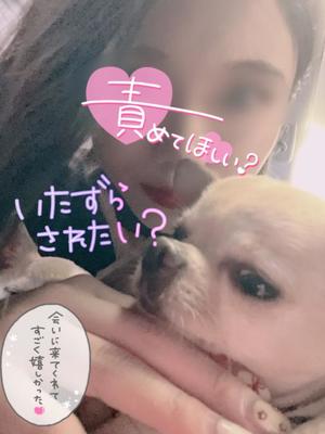 あやのの写メ日記|ビッグマン 吉原大衆店ソープ