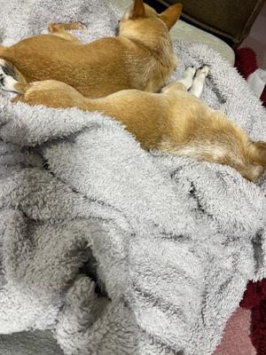 あやのの写メ日記｜ビッグマン 吉原大衆店ソープ