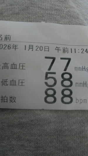 まいの写メ日記｜シーザースパレス 吉原大衆店ソープ