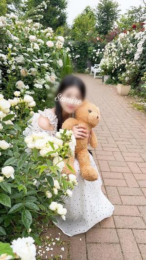 白石 すみれの写メ日記｜カサノヴァ 吉原大衆店ソープ