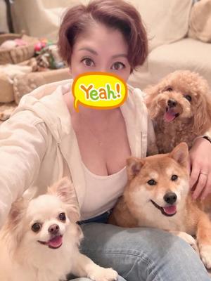 黒木の写メ日記｜シャトーペトラ 吉原大衆店ソープ