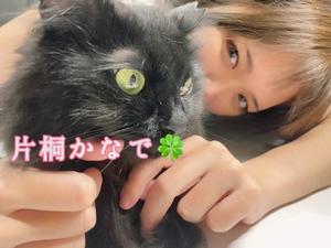 片桐かなでの写メ日記｜シャトーペトラ 吉原大衆店ソープ
