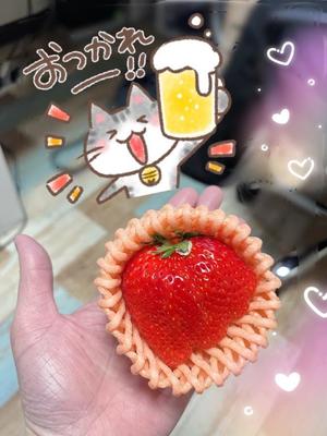 香坂の写メ日記｜シャトーペトラ 吉原大衆店ソープ