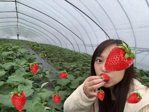 葵の写メ日記｜シャトーペトラ 吉原大衆店ソープ