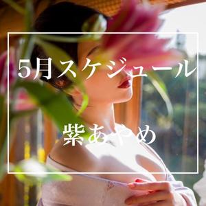 紫 あやめの写メ日記｜シャトーペトラ 吉原大衆店ソープ