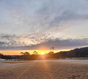 青山せりの写メ日記｜シャトーペトラ 吉原大衆店ソープ
