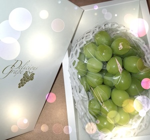 彩の写メ日記｜シャトーペトラ 吉原大衆店ソープ