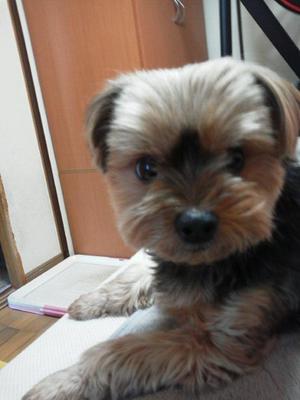 彩の写メ日記｜シャトーペトラ 吉原大衆店ソープ