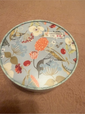 ふじのの写メ日記｜シャトーペトラ 吉原大衆店ソープ