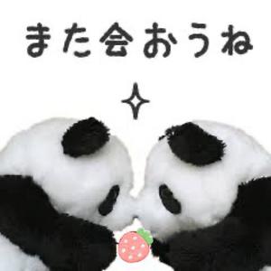 詩音の写メ日記｜シャトーペトラ 吉原大衆店ソープ