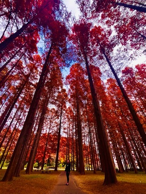 沙織の写メ日記｜シャトーペトラ 吉原大衆店ソープ