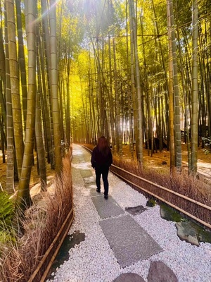 沙織の写メ日記｜シャトーペトラ 吉原大衆店ソープ