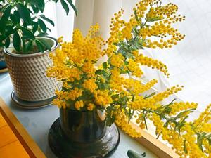 りんごの写メ日記｜クラブ貴公子 吉原大衆店ソープ