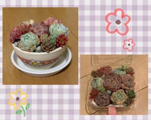 るりの写メ日記｜クラブ貴公子 吉原大衆店ソープ