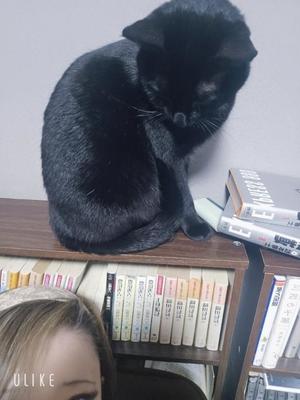おとはの写メ日記｜クラブ貴公子 吉原大衆店ソープ