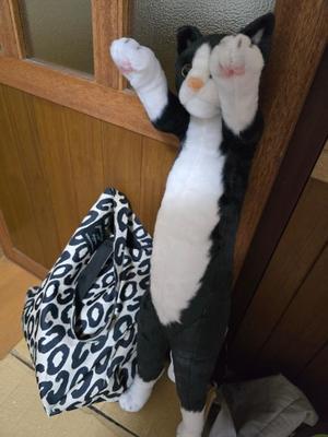おとはの写メ日記｜クラブ貴公子 吉原大衆店ソープ