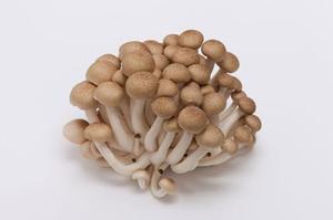 カヲルの写メ日記｜クラブ貴公子 吉原大衆店ソープ