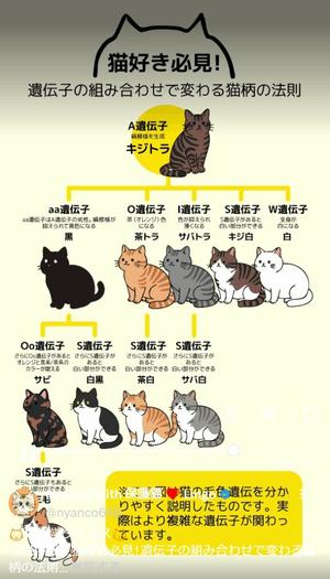 カヲルの写メ日記｜クラブ貴公子 吉原大衆店ソープ