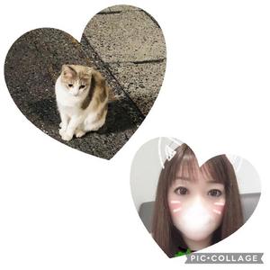 莉嘉の写メ日記｜クラブオアシス 吉原大衆店ソープ
