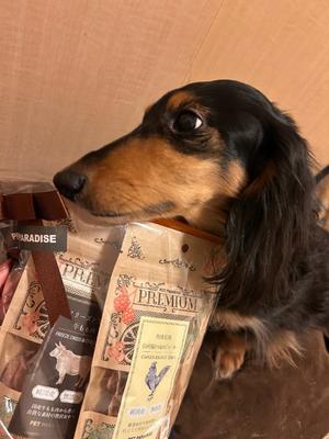 りこの写メ日記|クラブオアシス 吉原大衆店ソープ