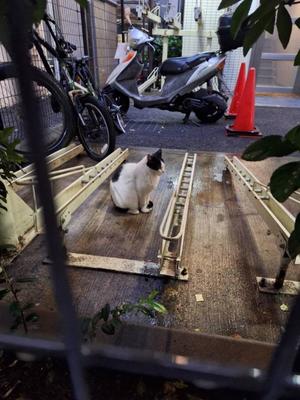 りこの写メ日記｜クラブオアシス 吉原大衆店ソープ