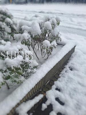 しおりの写メ日記｜クラブオアシス 吉原大衆店ソープ