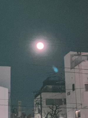 しいなの写メ日記｜クラブオアシス 吉原大衆店ソープ