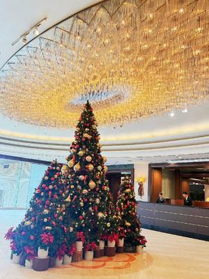 あおいの写メ日記｜クラブオアシス 吉原大衆店ソープ