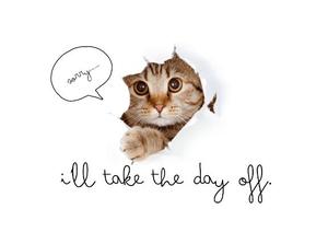 あおいの写メ日記｜クラブオアシス 吉原大衆店ソープ