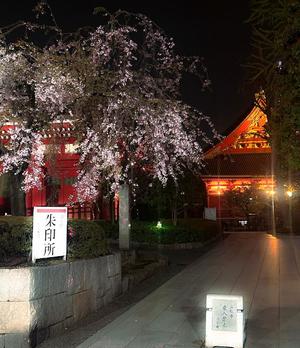 ほのかの写メ日記｜クラブオアシス 吉原大衆店ソープ