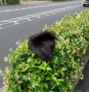 みわの写メ日記｜クラブオアシス 吉原大衆店ソープ
