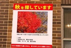 みわの写メ日記｜クラブオアシス 吉原大衆店ソープ