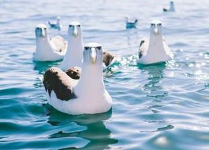 みわの写メ日記｜クラブオアシス 吉原大衆店ソープ