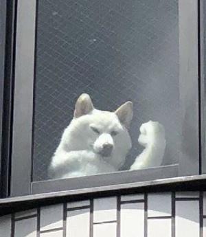 みわの写メ日記｜クラブオアシス 吉原大衆店ソープ