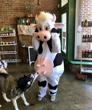 みわの写メ日記｜クラブオアシス 吉原大衆店ソープ