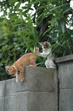 みわの写メ日記|クラブオアシス 吉原大衆店ソープ