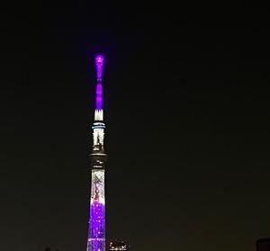 一ノ瀬　あやこの写メ日記｜エル・カーヒル 秘密の刻 吉原高級店ソープ