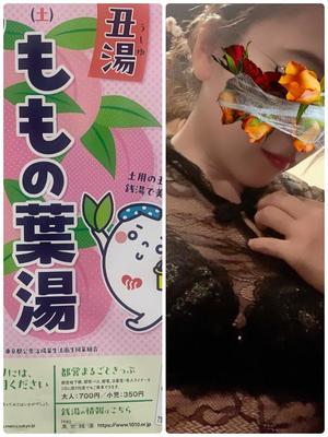 一ノ瀬　あやこの写メ日記｜エル・カーヒル 秘密の刻 吉原高級店ソープ
