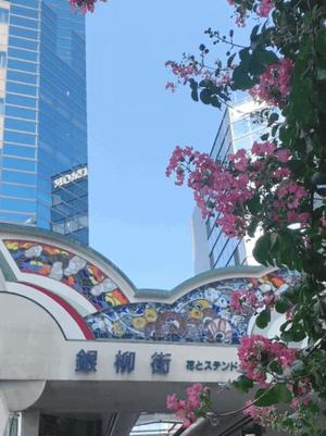 一ノ瀬　あやこの写メ日記｜エル・カーヒル 秘密の刻 吉原高級店ソープ