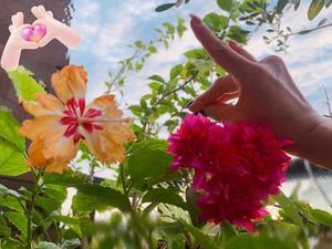 一ノ瀬　あやこの写メ日記｜エル・カーヒル 秘密の刻 吉原高級店ソープ